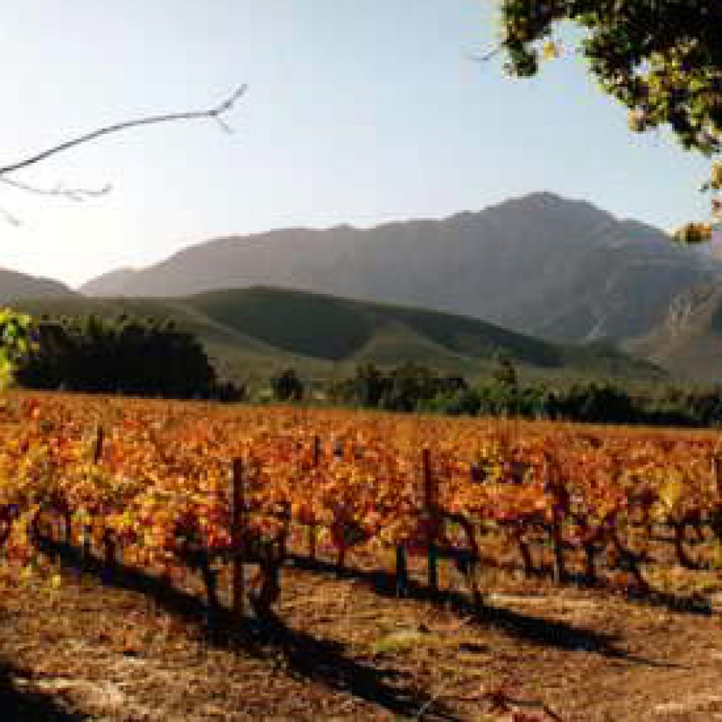 Klein Karoo wine route