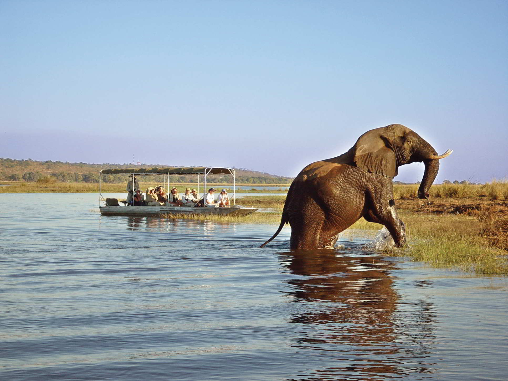 safari in livingstone zambia