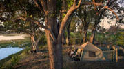 mobile-tented-camp